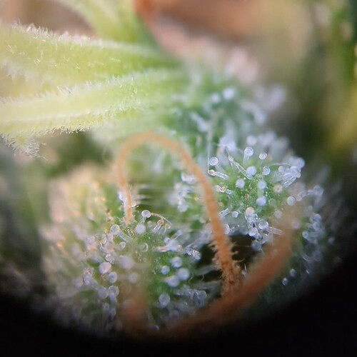 Growreport Bild 10