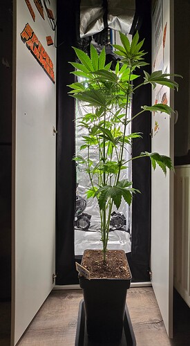 Growreport Bild 12