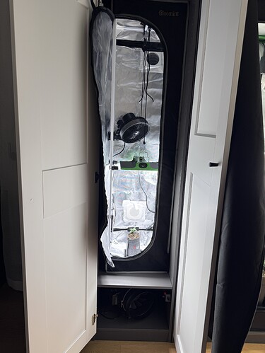 Growreport Bild 4