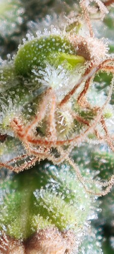 Screenshot_2024-06-18-20-04-50-979_com.miui.gallery