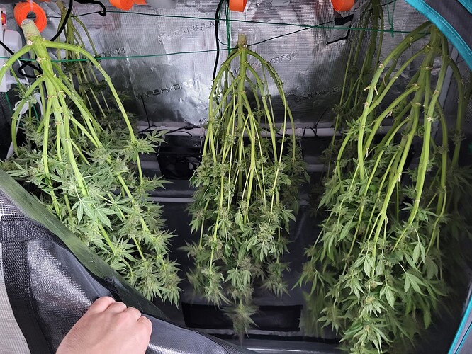 Growreport Bild 7