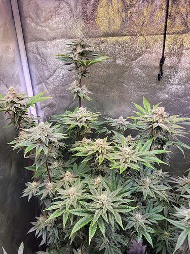 Growreport Bild 12
