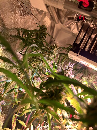 Growreport Bild 8