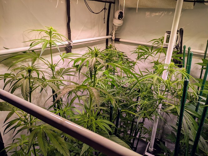 Growreport Bild 8