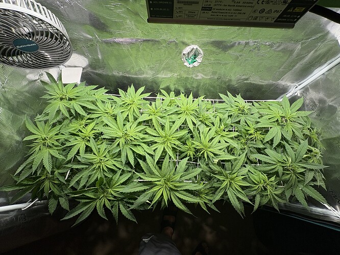 Growreport Bild 7