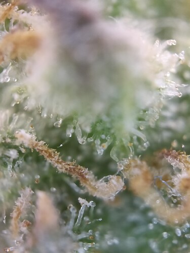 Growreport Bild 24