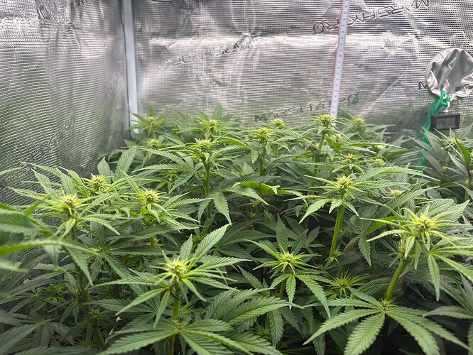 Foto 03.01.26, 06 31 57