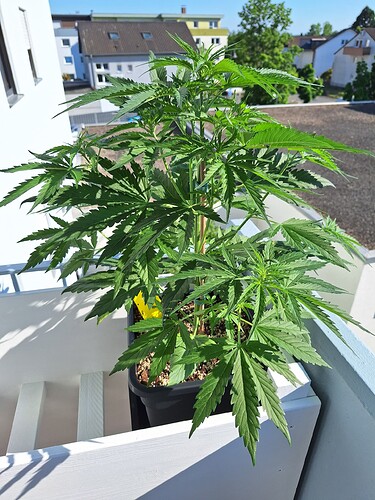 Growreport Bild 12