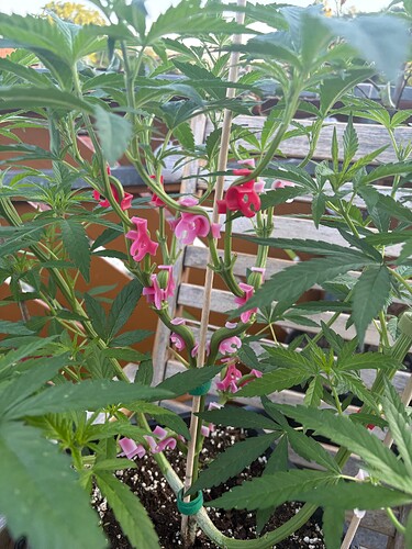 Foto 19.07.25, 06 18 14