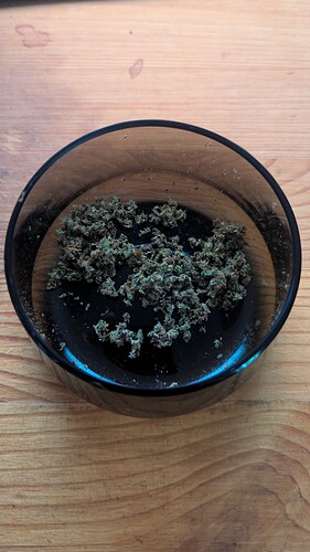 PXL_20250815_154634326