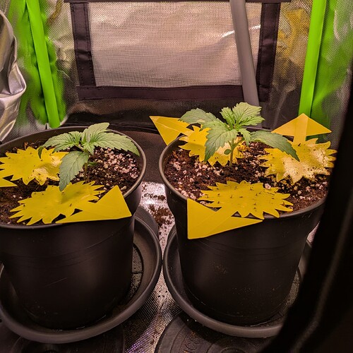 Growreport Bild 9