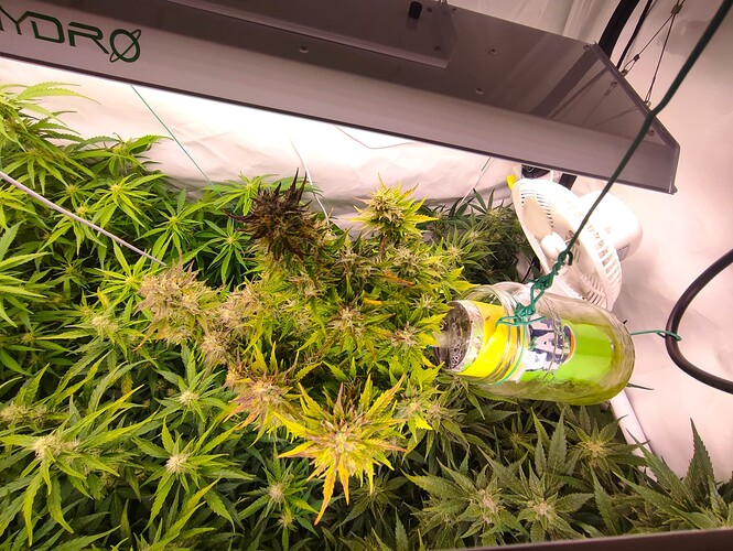Growreport Bild 17