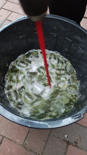 Growreport Bild 1
