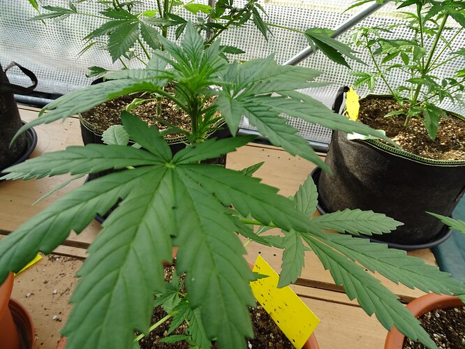 Growreport Bild 10