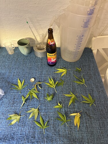 Growreport Bild 35