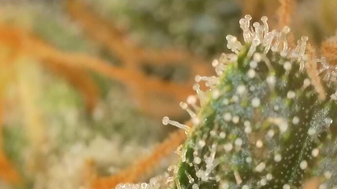 2024-09-29-182820238