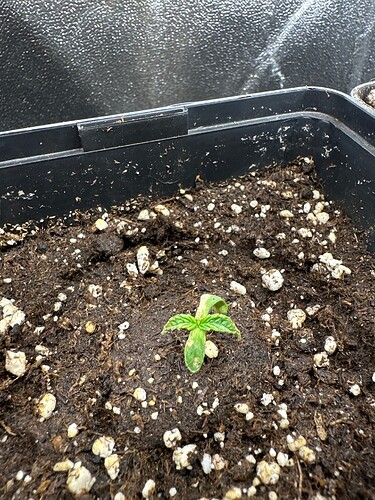 Growreport Bild 13