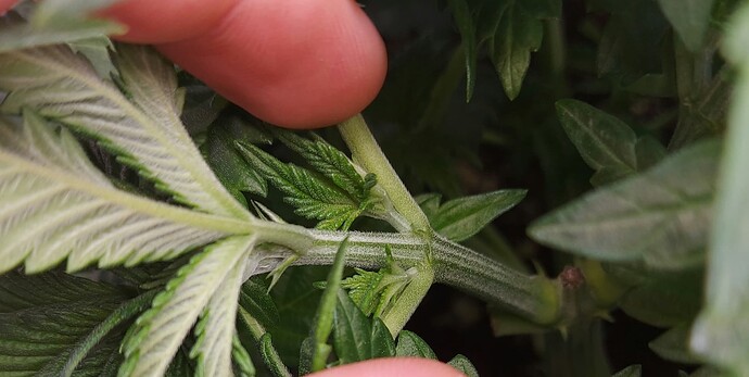 Growreport Bild 3