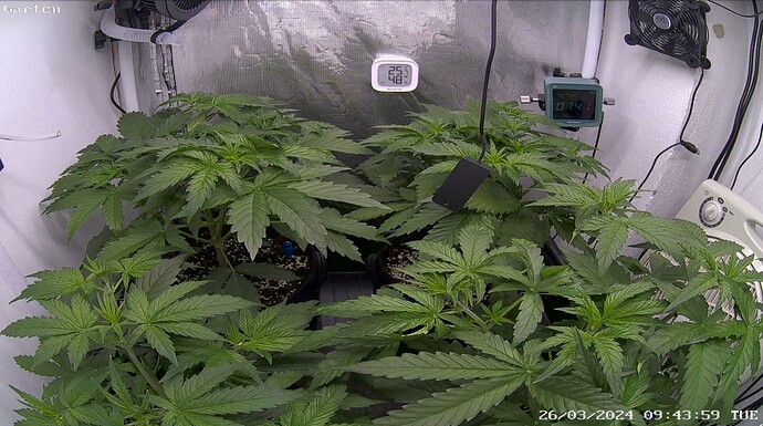 Growreport Bild 9