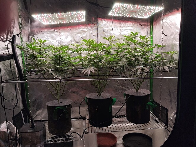 Growreport Bild 13