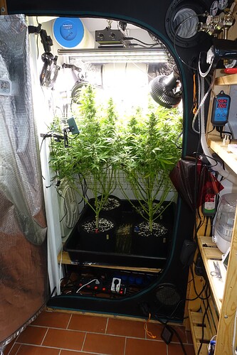 Growreport Bild 8