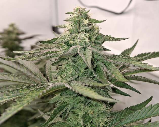 476831783_122167310144293599_1419064403728231007_n