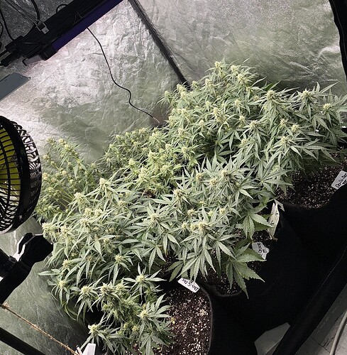 Growreport Bild 10