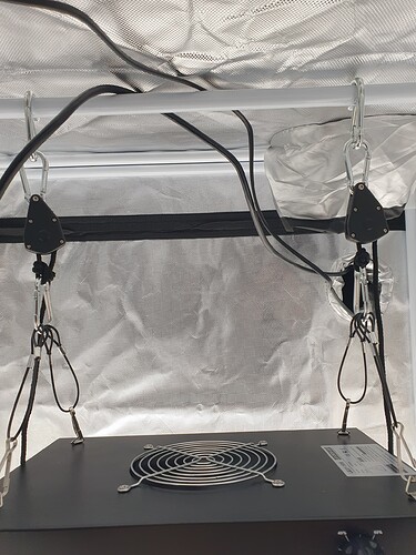 Growreport Bild 11