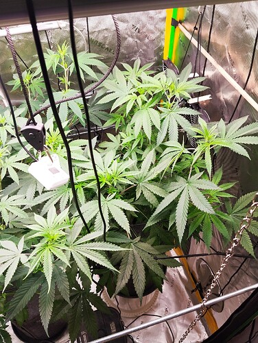 Growreport Bild 8