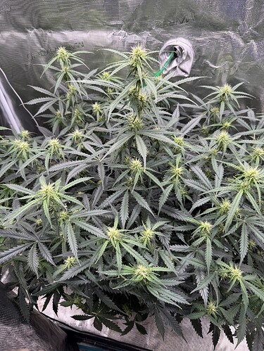 Growreport Bild 12