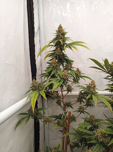 Growreport Bild 14