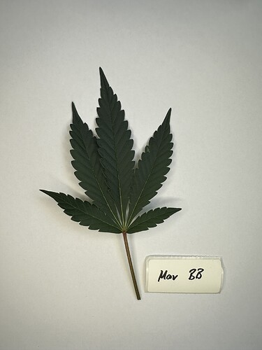 Growreport Bild 11