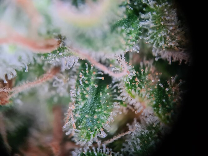 Growreport Bild 15
