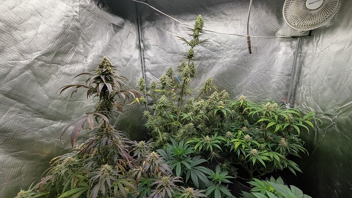 Growreport Bild 9