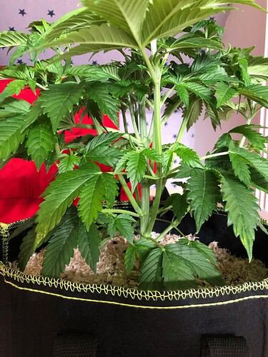 Growreport Bild 9