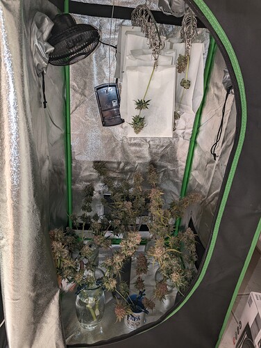 Growreport Bild 4