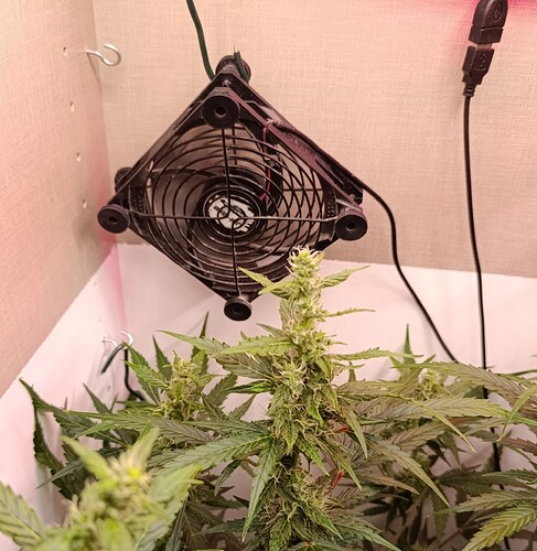 Growreport Bild 11