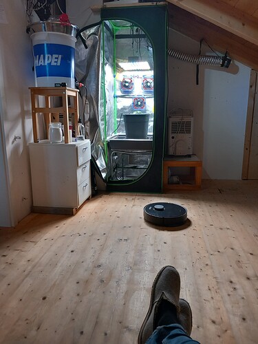 Growreport Bild 3