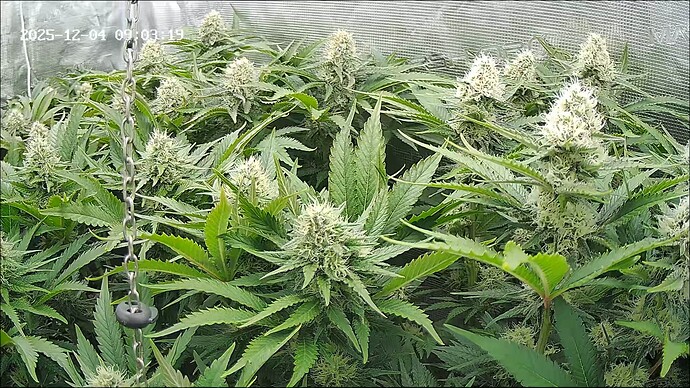 Growreport Bild 9