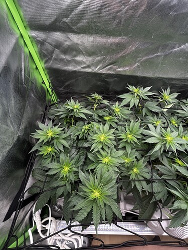Growreport Bild 7
