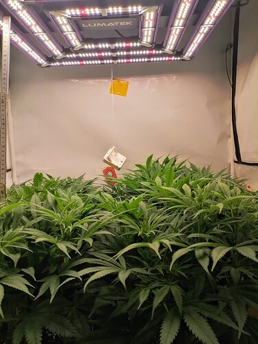 Growreport Bild 7