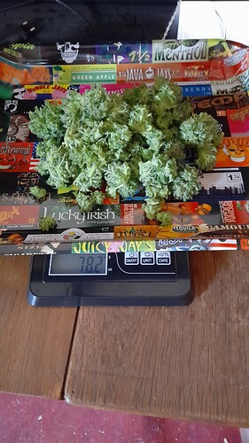 Growreport Bild 67