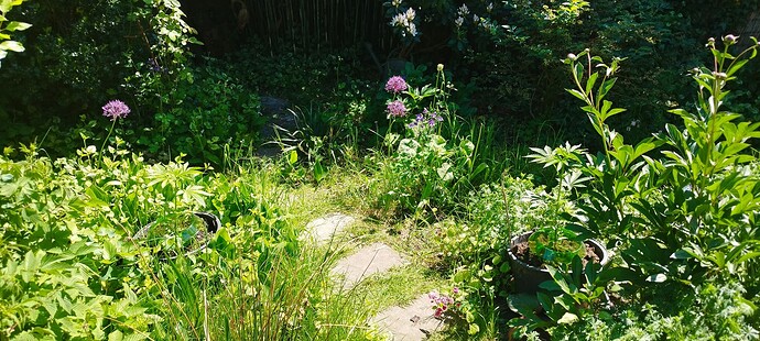 Growreport Bild 2