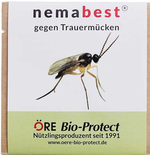Growreport Bild 1