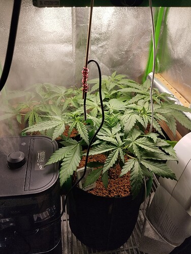 Growreport Bild 1