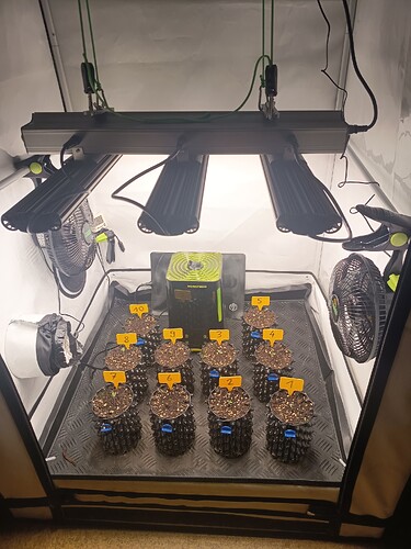 Growreport Bild 20