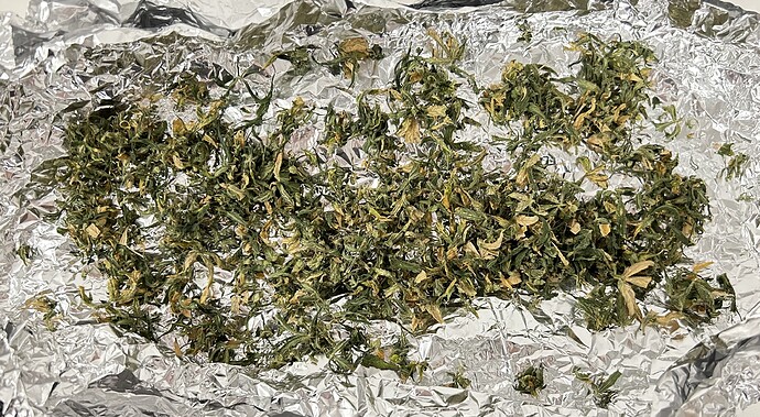 Growreport Bild 30