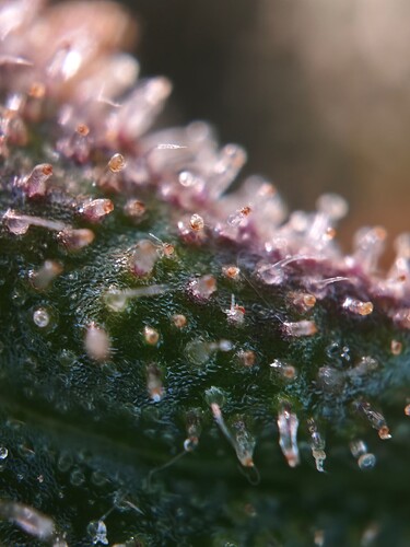 MVIMG_20251125_175918