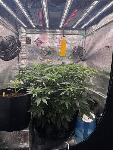 Growreport Bild 6