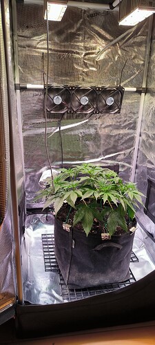 Growreport Bild 16